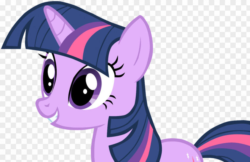 Willow Tree Vector Twilight Sparkle Pinkie Pie Spike Rarity Pony PNG