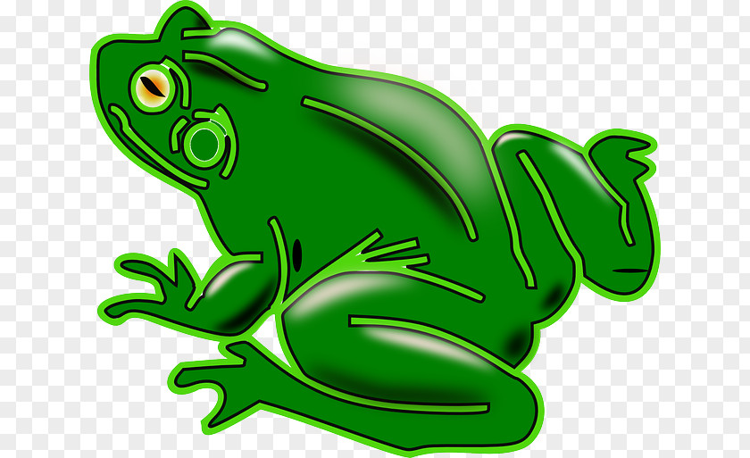 Amphibian Common Frog Clip Art PNG