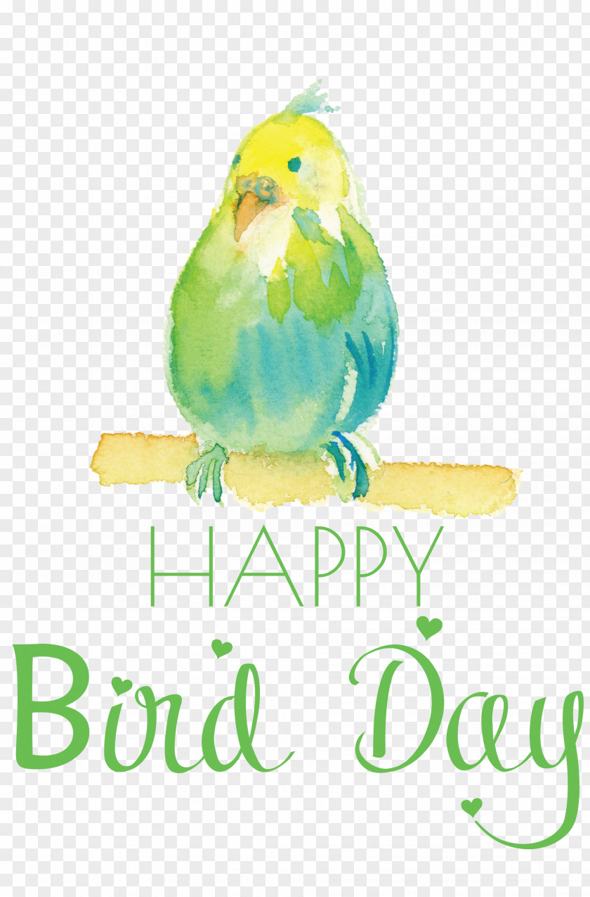 Bird Day Happy International PNG