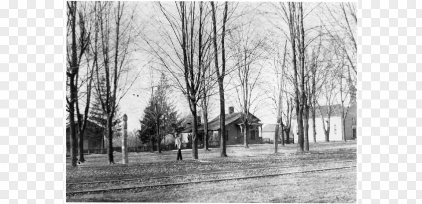 C Ray Worthington Historical Society Walking Tour At Walnut Grove Cemetery West New England Avenue Photography PNG