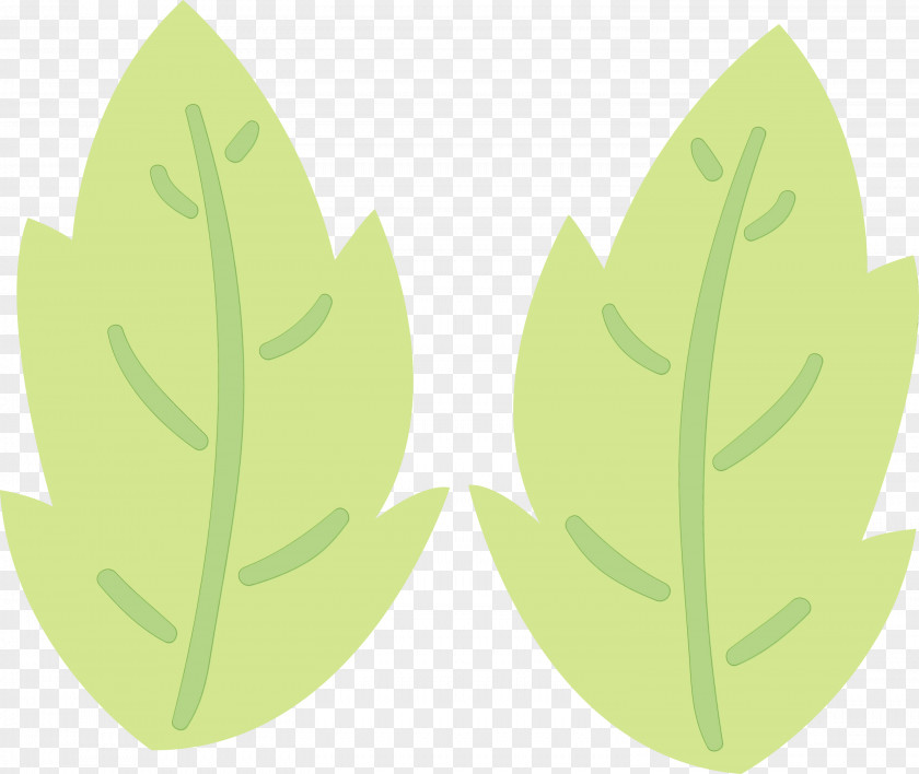 Leaf Green Meter Font Plant Structure PNG