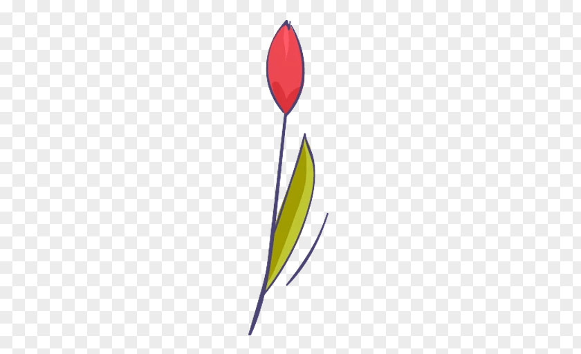 Leaf Petal Plant Stem Flowering PNG