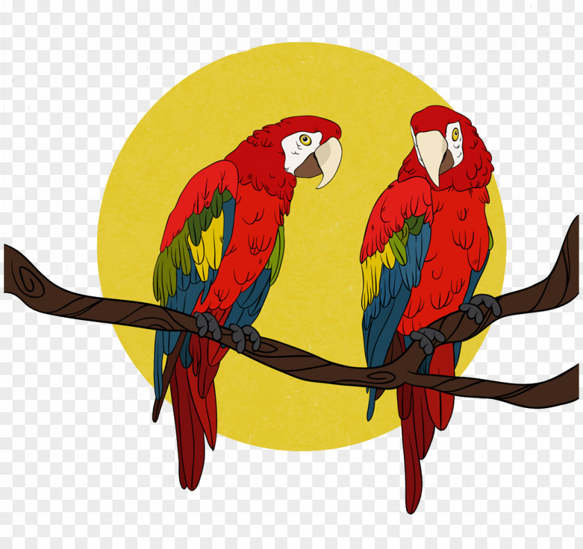 Painted Parrot Bird True Euclidean Vector Macaw Companion PNG