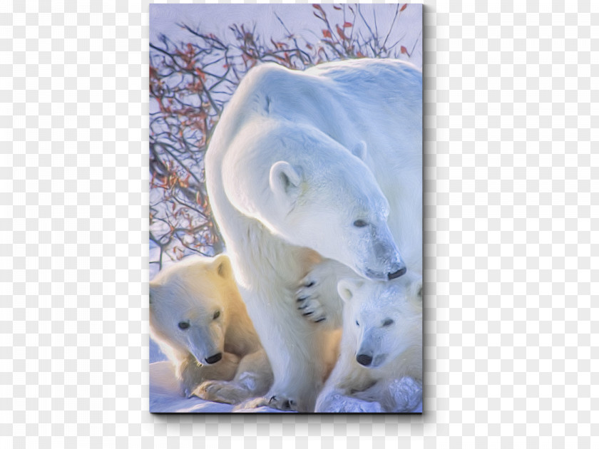 Polar Bear Wrangel Island Basabizitza PNG