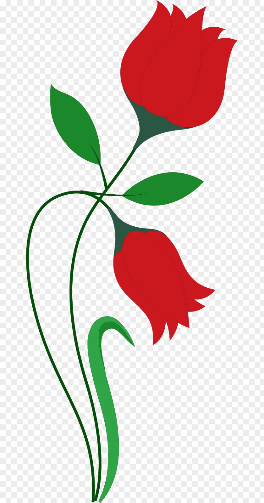 Red Flower Tulip PNG