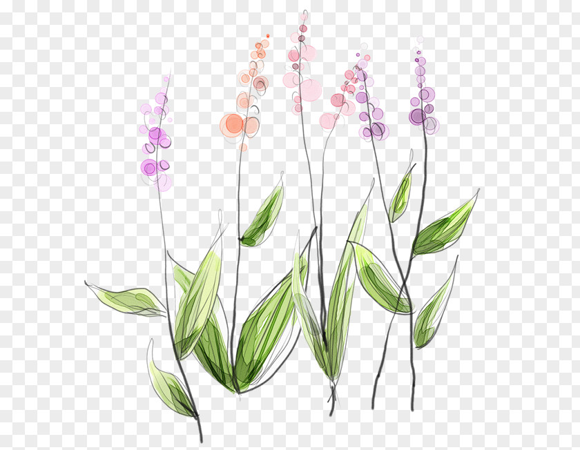 Spring Heart Desktop Wallpaper Image Flower Drawing PNG