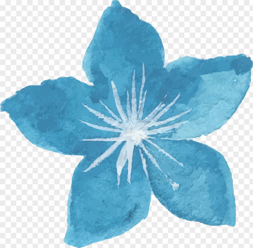 Blue Petal Flower Plant Leaf PNG