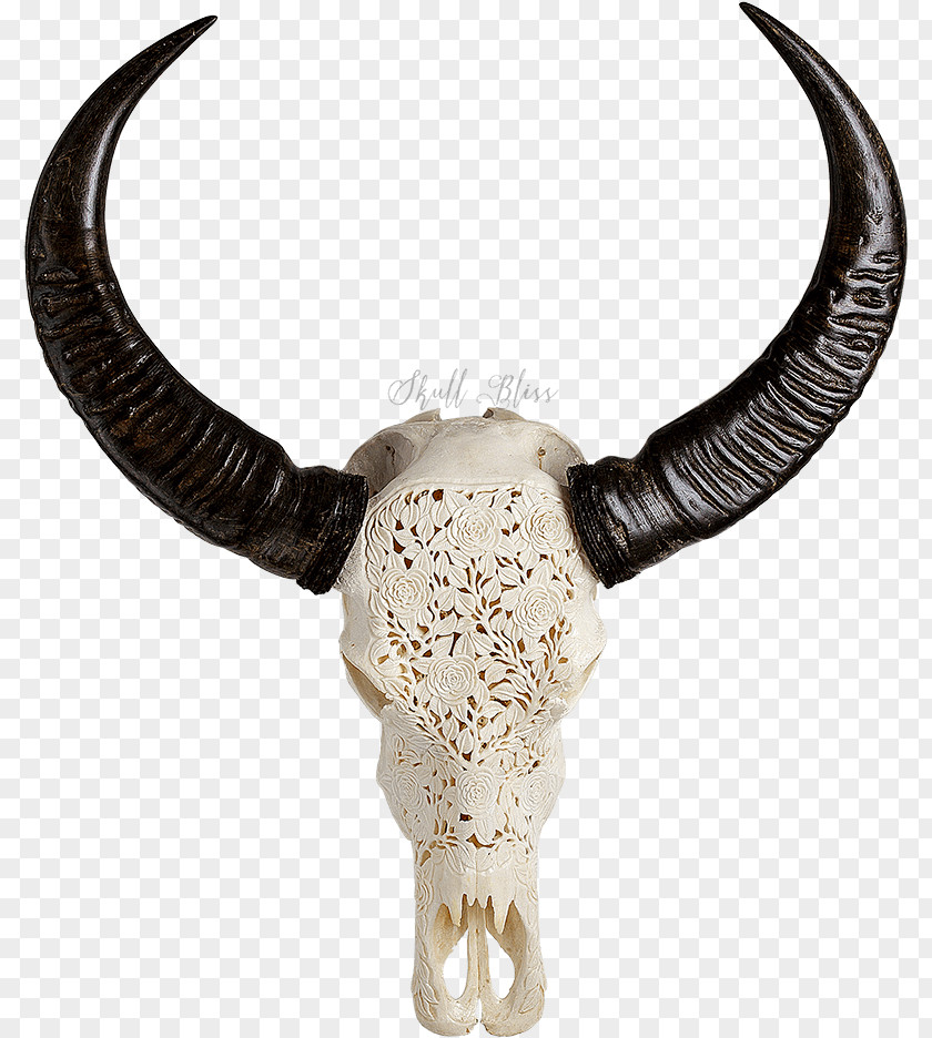 Bovine Animal Figure Horn Antelope Cow-goat Family Antler Skull PNG