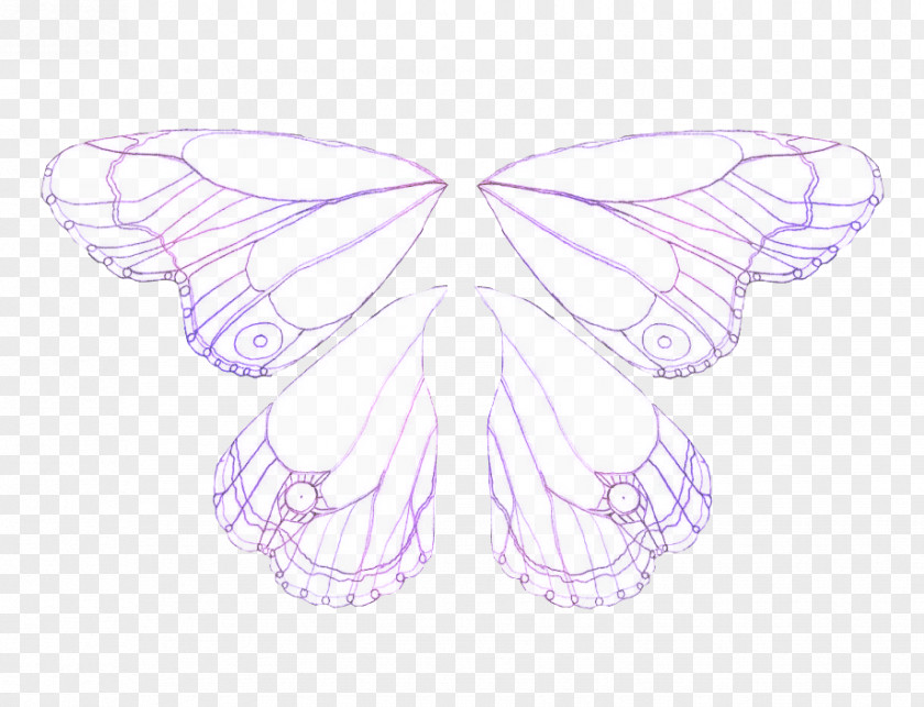 Butterfly Brush-footed Butterflies Silkworm Symmetry PNG