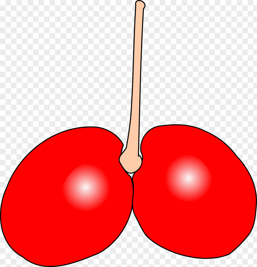 Cherry Pull Down Drawing Download Clip Art PNG