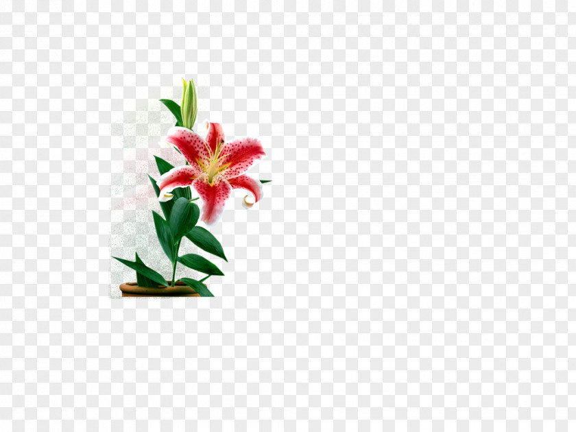Colorful Cut Flowers Floral Design Clip Art PNG