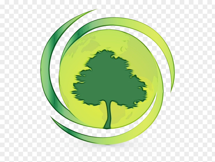 Plate Plant Green Leaf Tree Yellow Grass PNG