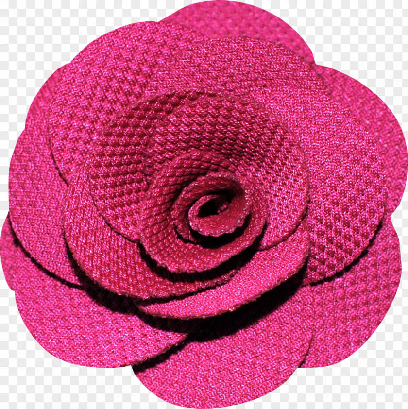 Rose Garden Roses Pink M Cut Flowers Petal PNG