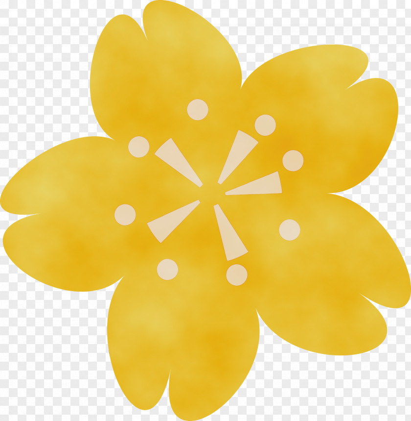 Yellow Petal Flower Plant PNG