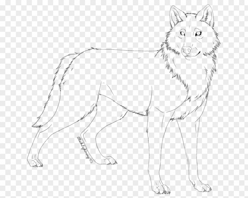 Dog Line Art Drawing Breed PNG