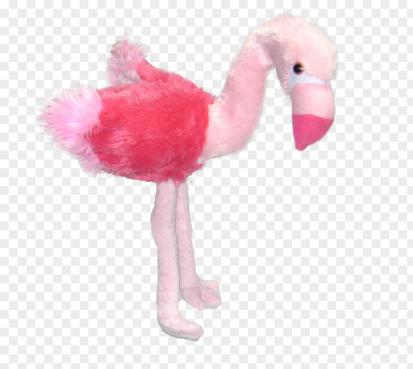 Flamingo Plush Greater Pink Beak PNG