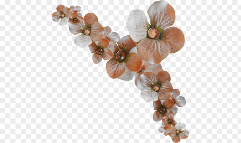 Flower Floral Design Clip Art PNG