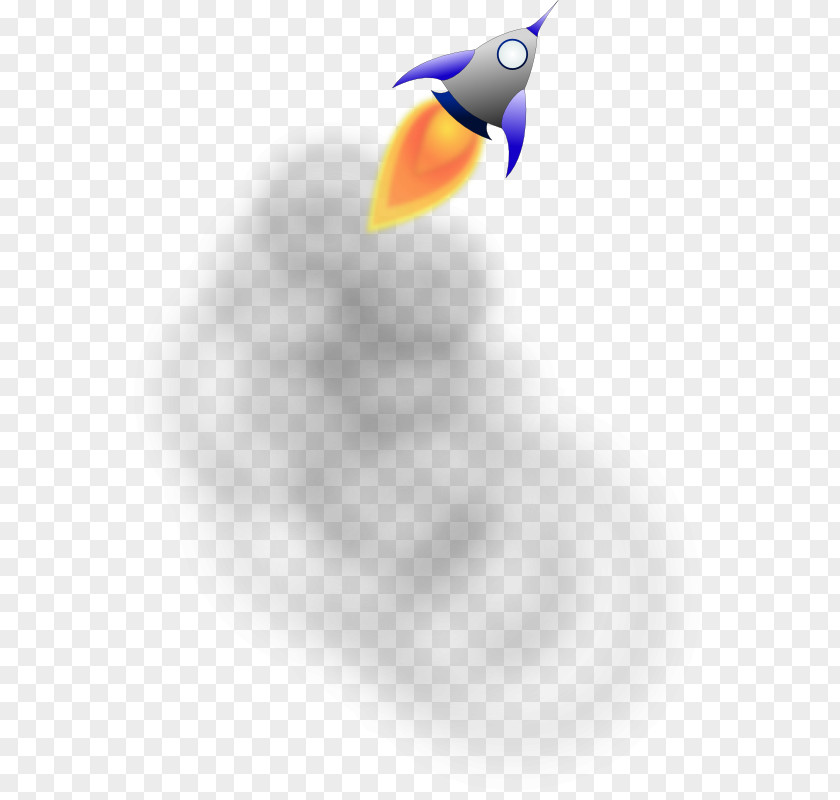 Rocket Launch Pictures Bird Beak Toucan Desktop Wallpaper PNG