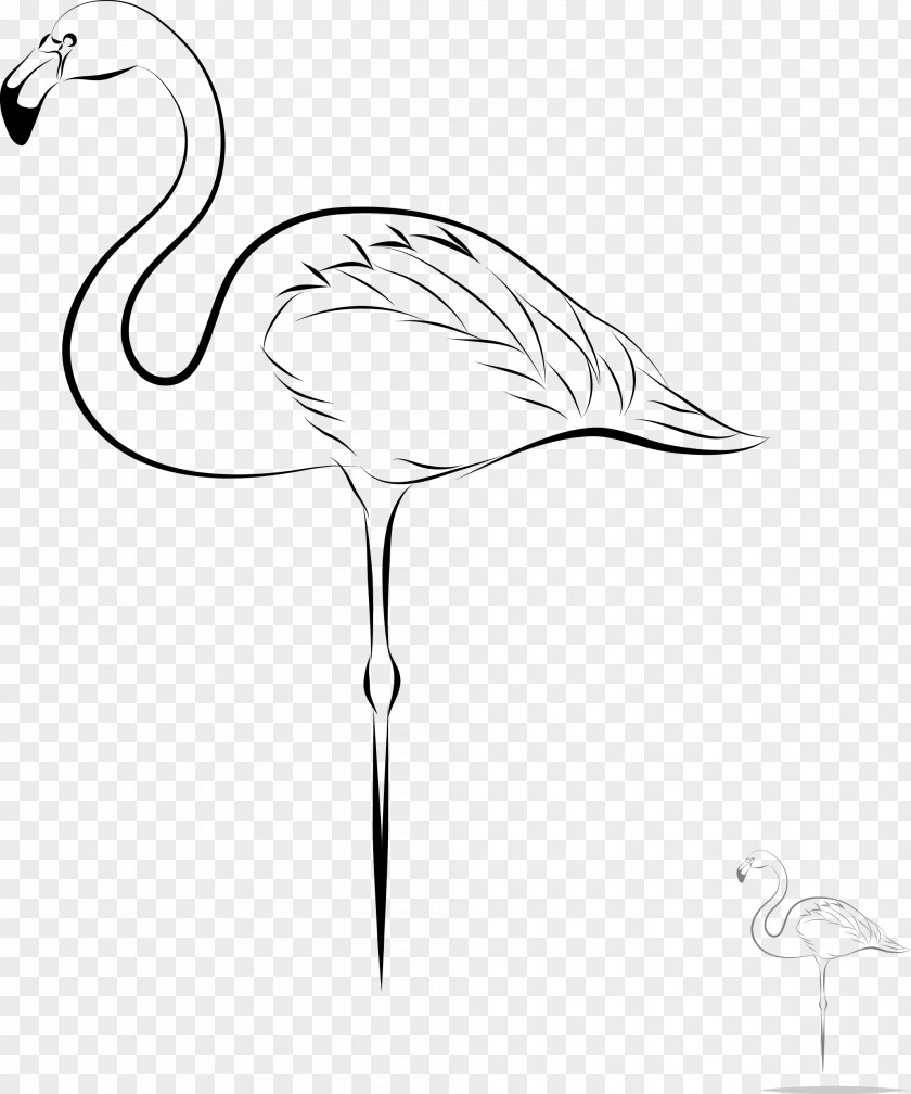Vector Crane Water Bird PNG