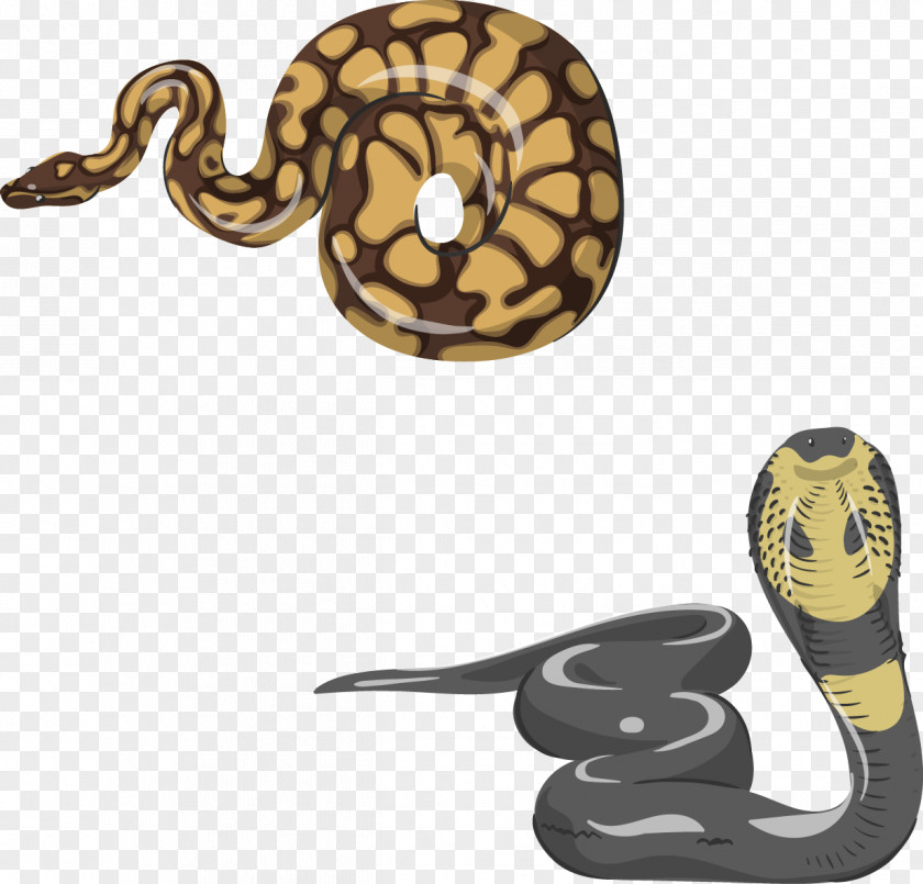 Vector Painted Snake Reptile Lizard Chameleons Vipers PNG