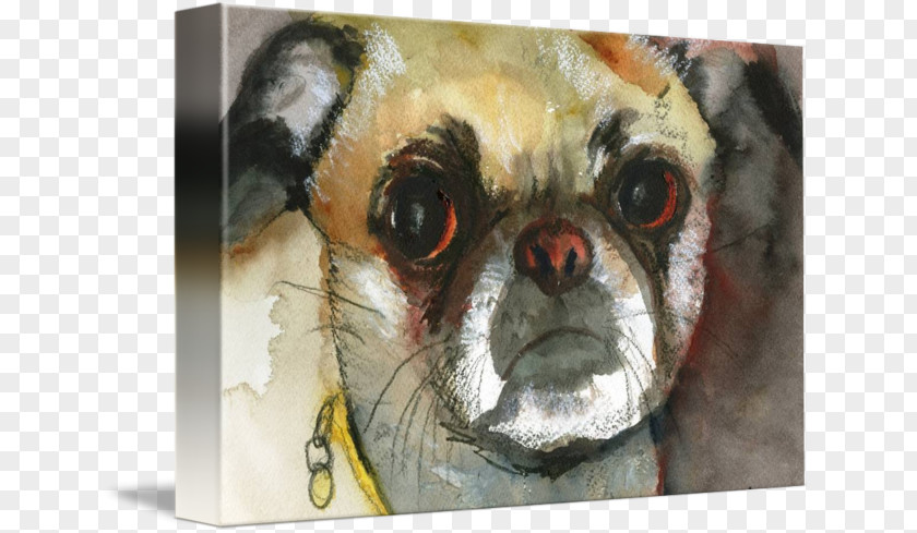 Watercolor Dogs Pug Painting Watercolor: Animals Art PNG