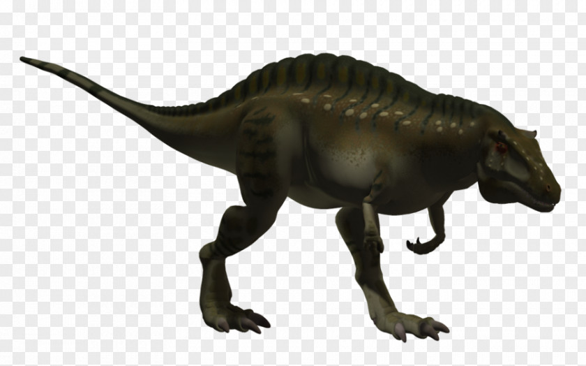 Dinosaur Tyrannosaurus Acrocanthosaurus Altispinax Size Velociraptor PNG