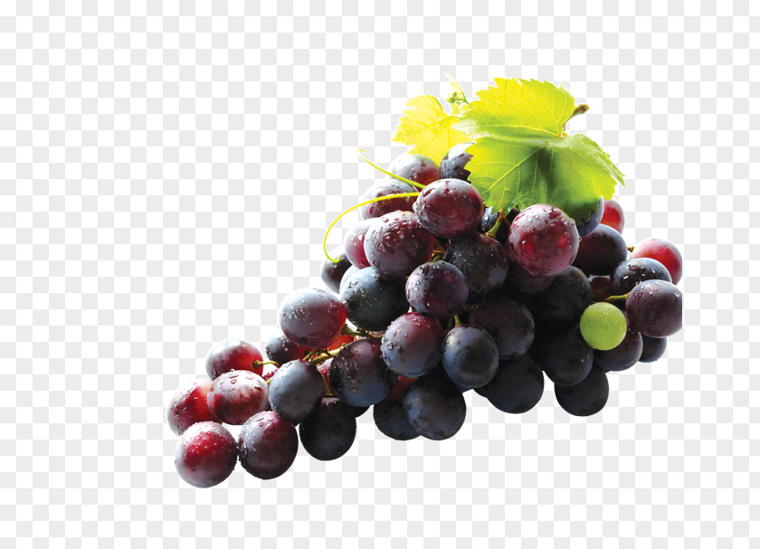 Grape Common Vine Ruby Roman Seed Extract Nutrition PNG