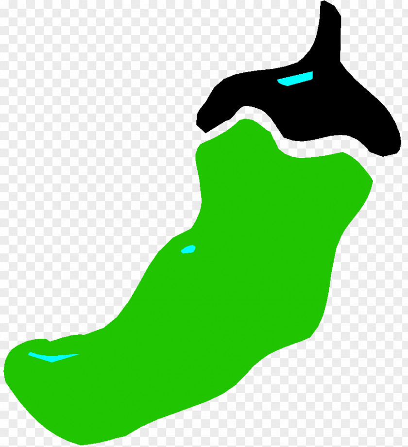 Leaf Green Marine Mammal Shoe Clip Art PNG