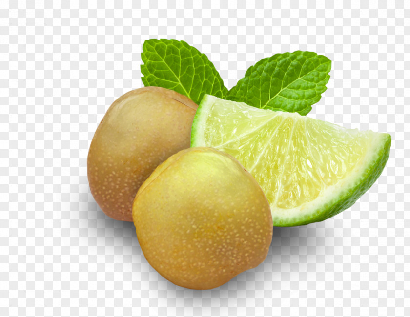 Lime Key Sweet Lemon Persian PNG
