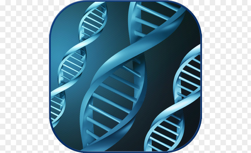 Mutation Genetic Testing Epigenetics PNG