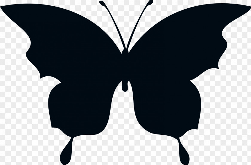 Silhouettes Butterfly Silhouette Drawing Clip Art PNG