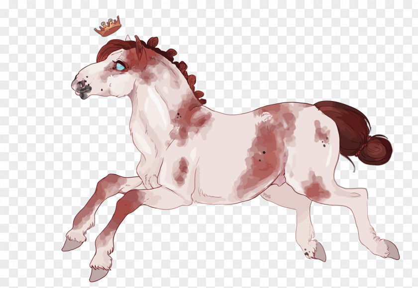 Vector Cartoon Horse Mustang Pony Foal PNG