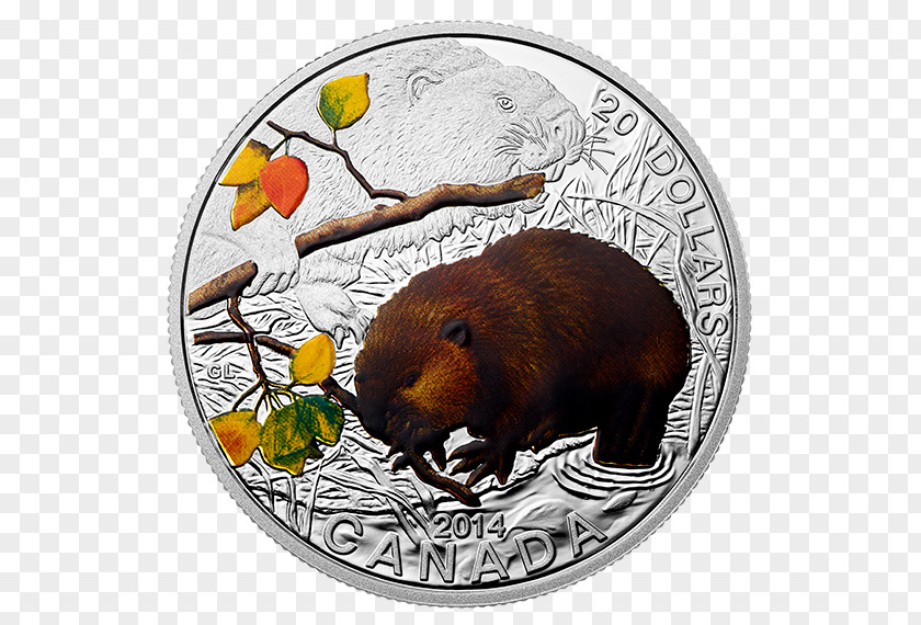 Beaver Silver Coin Canada PNG