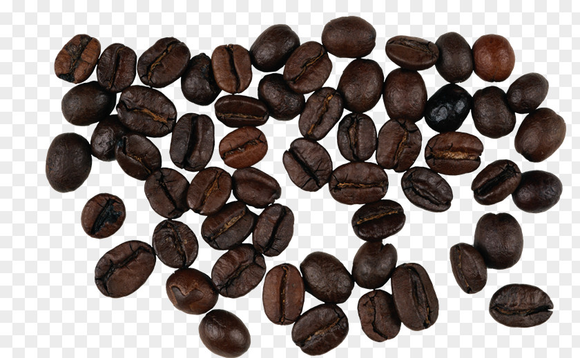 Coffee Bean Instant Single-origin PNG