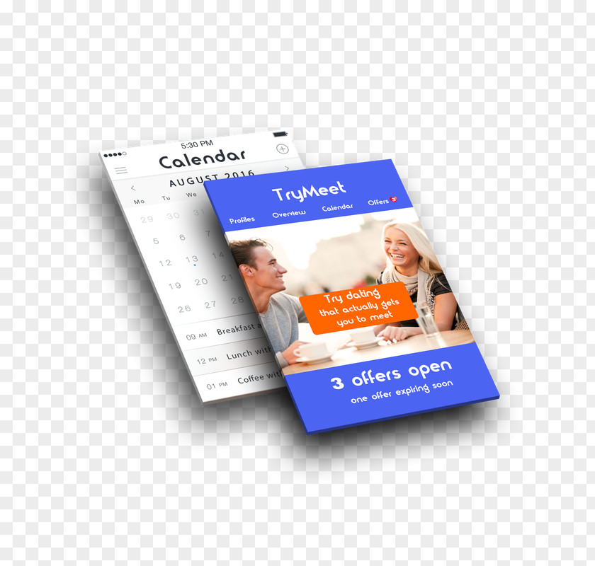 Graphical Resume Brand Brochure PNG