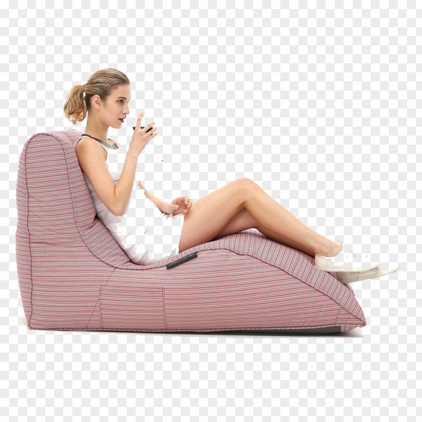 Lounger Couch Bean Bag Chairs PNG