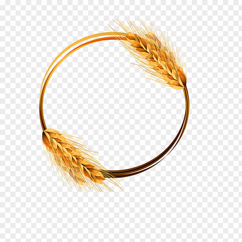 Round Wheat Common Ear Crop PNG