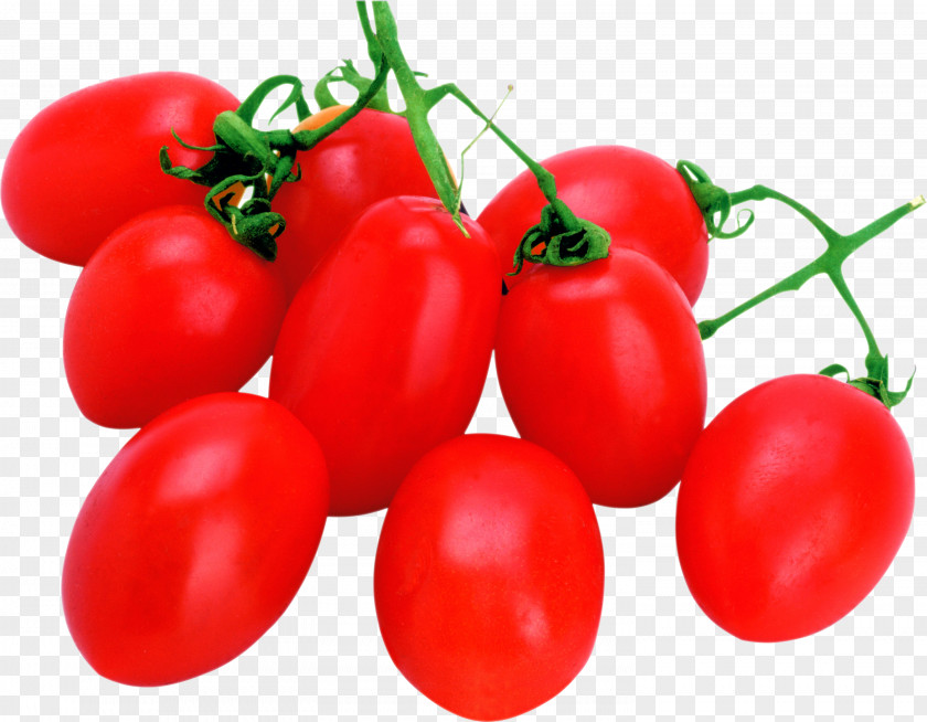 Tomatoes Cherry Tomato Food Vegetable Lycopersicon PNG