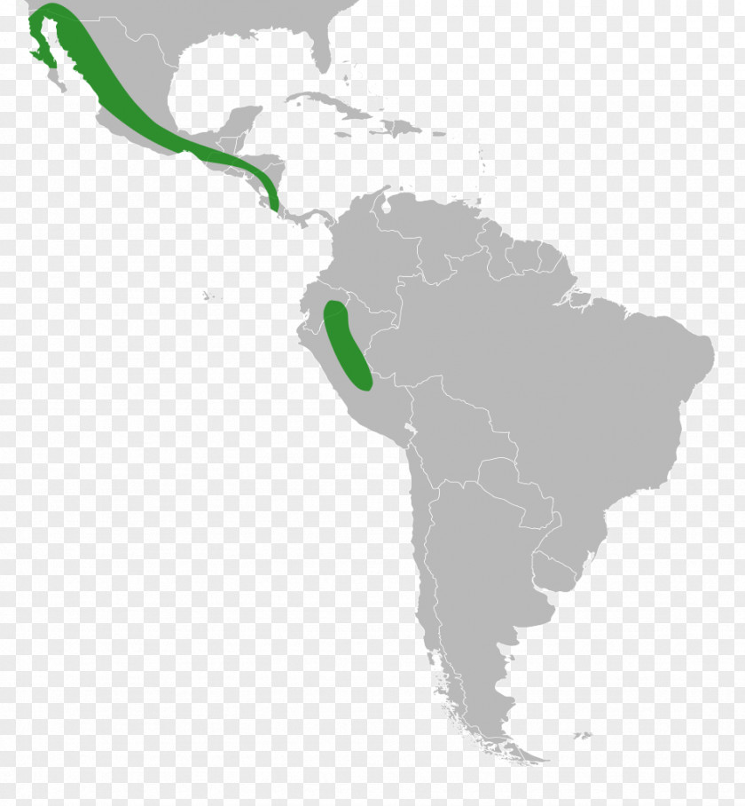 United States Latin America South Subregion PNG