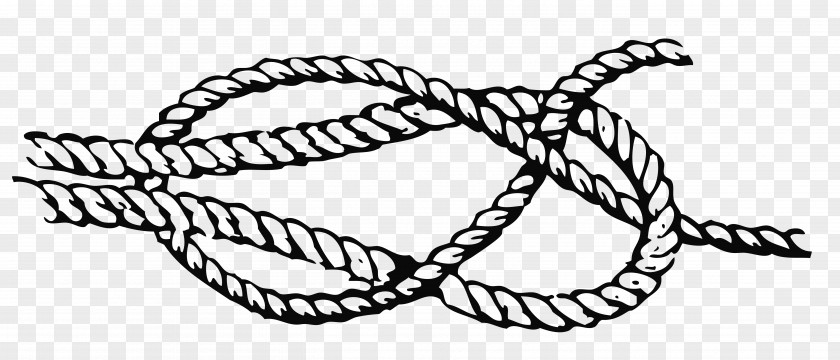 Vector Rope Download Hemp PNG