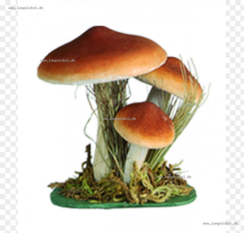 Braun Strowman Edible Mushroom Fungus PNG