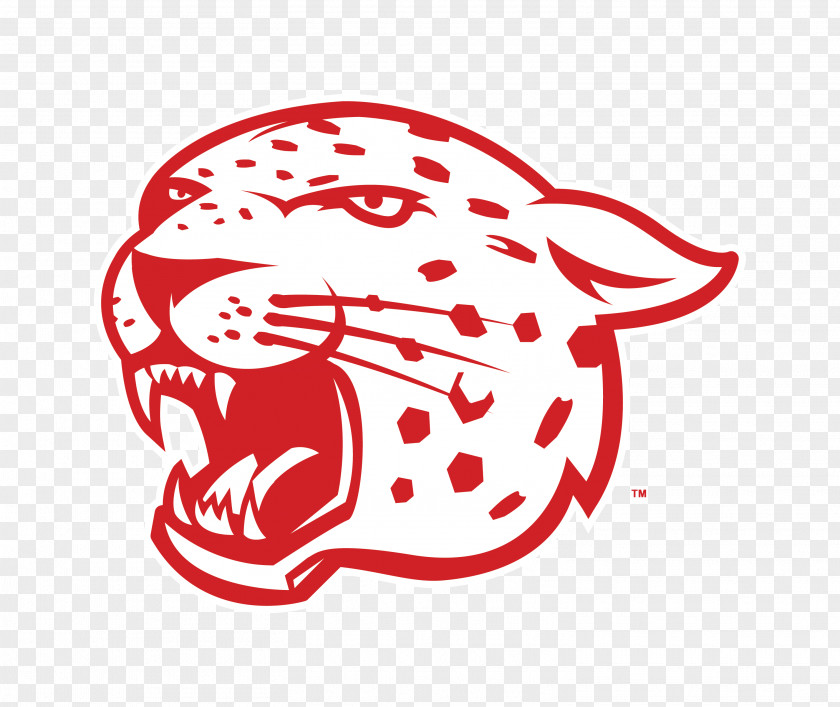 Cheetah Leopard Jaguar Drawing Logo Clip Art PNG