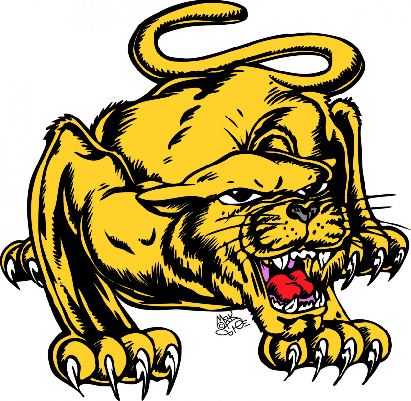 Cougar Football Cliparts Black Panther Free Content Clip Art PNG