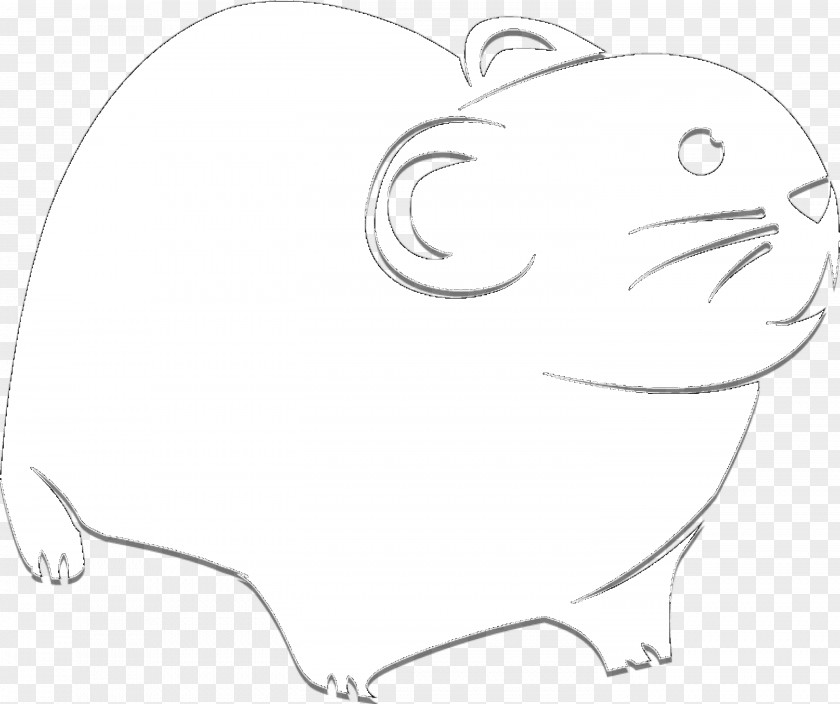 Eye Mammal Line Art Clip PNG