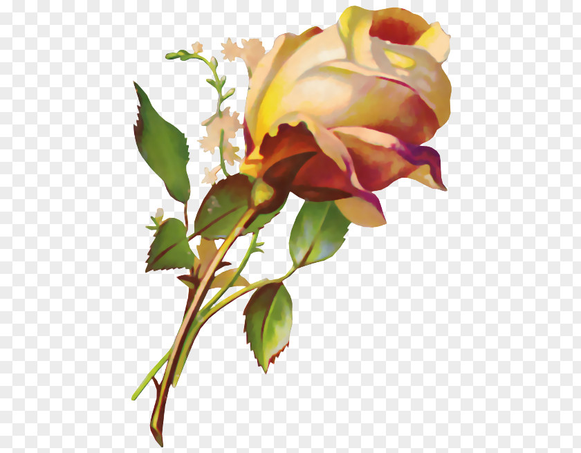 Flores Flower Decoupage Desktop Wallpaper Clip Art PNG