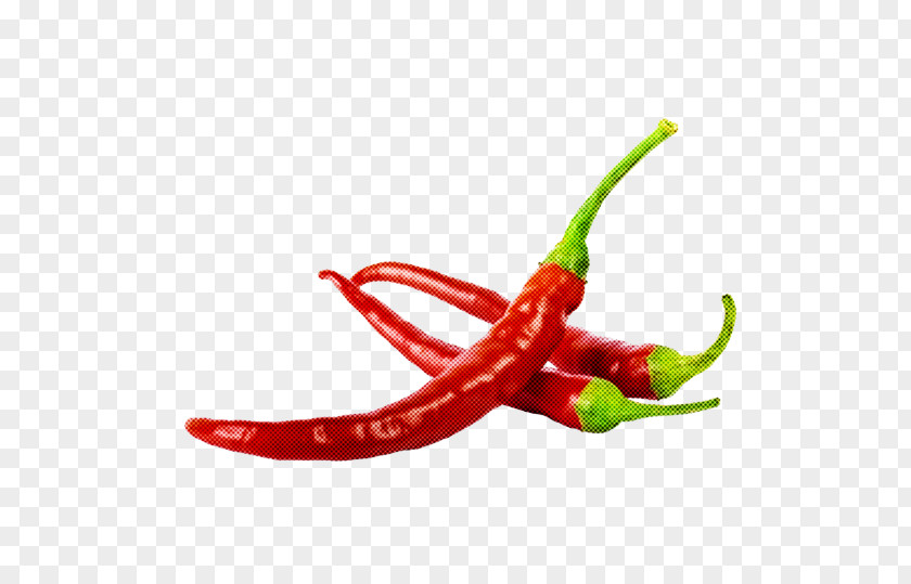 Salsa Peppers Bell Pepper Condiment Red PNG