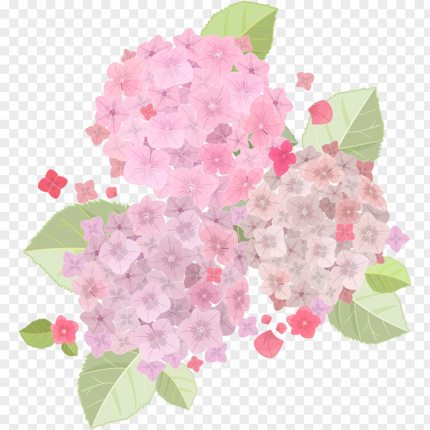 Fresh And Beautiful Light Pink Hydrangea French Flowers PNG