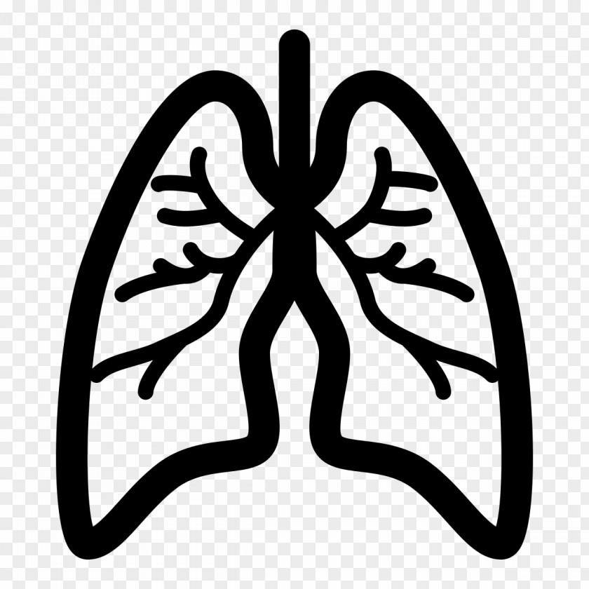 Lungs Lung Chronic Obstructive Pulmonary Disease Asthma Respiration Condition PNG