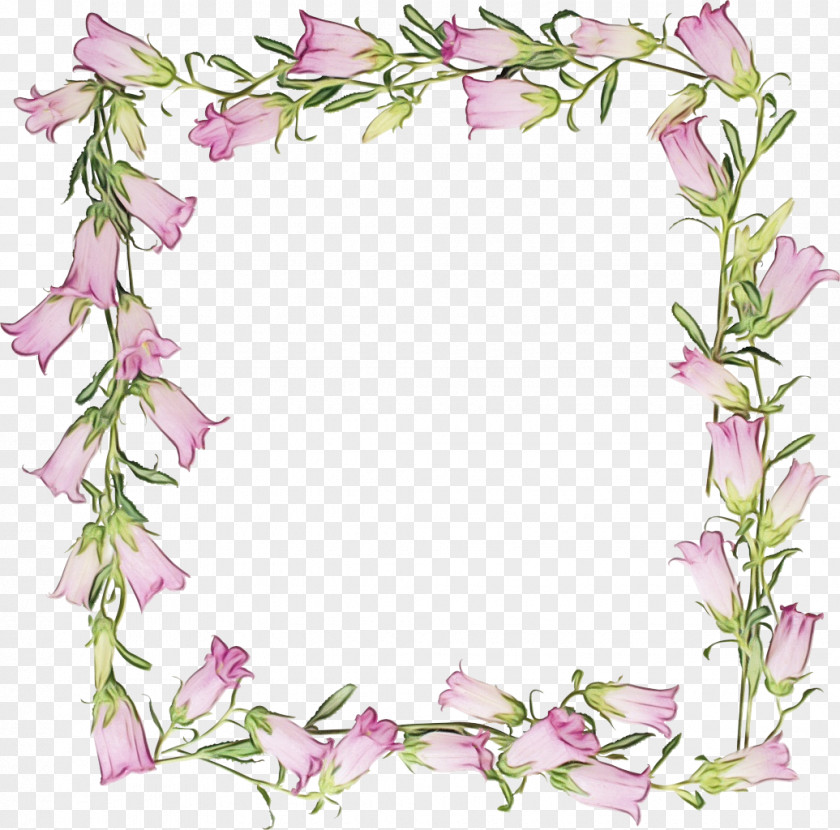 Petal Picture Frame Bouquet Of Flowers Drawing PNG