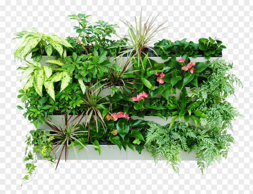 Window Green Wall Gardening Vertical Gardens Hydroponics PNG